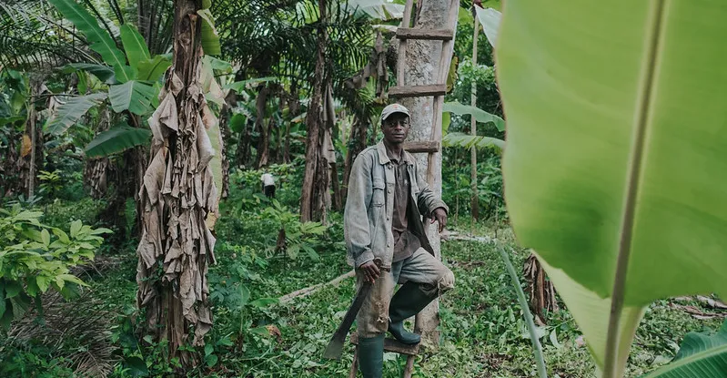 Alors que les prix du cacao flambent, pourquoi les bénéfices restent-ils encore si déséquilibrés ?