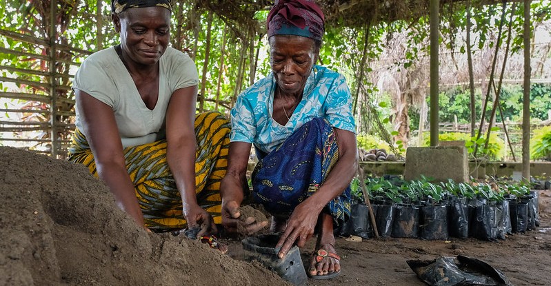 Yangambi : Quel est le rapport entre le genre et les forêts emblématiques de la RDC ?
