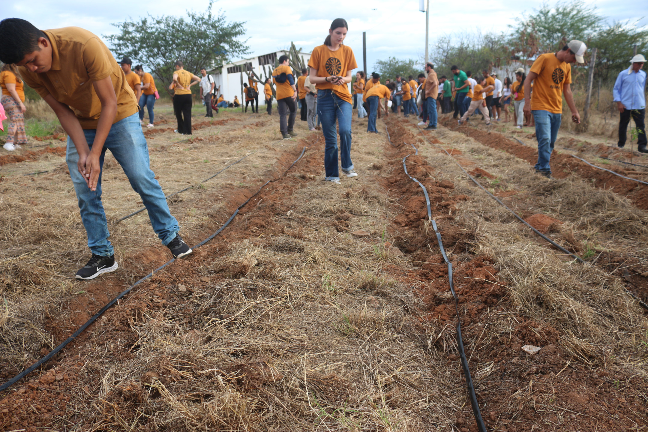 En Brasil, redes de recolectores de semillas fortalecen las bases para la restauración a gran escala