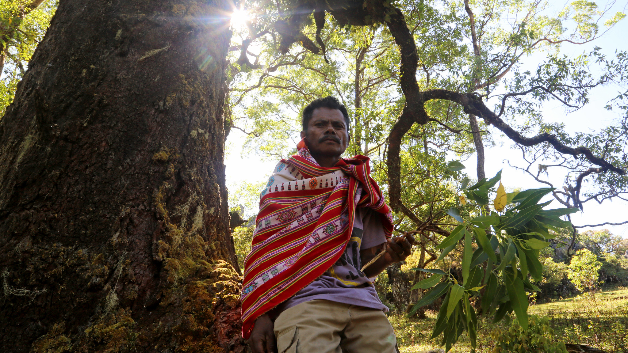 Bijak Menggunakan Angka 80% untuk Mengukur Keanekaragaman Hayati di Wilayah Masyarakat Adat