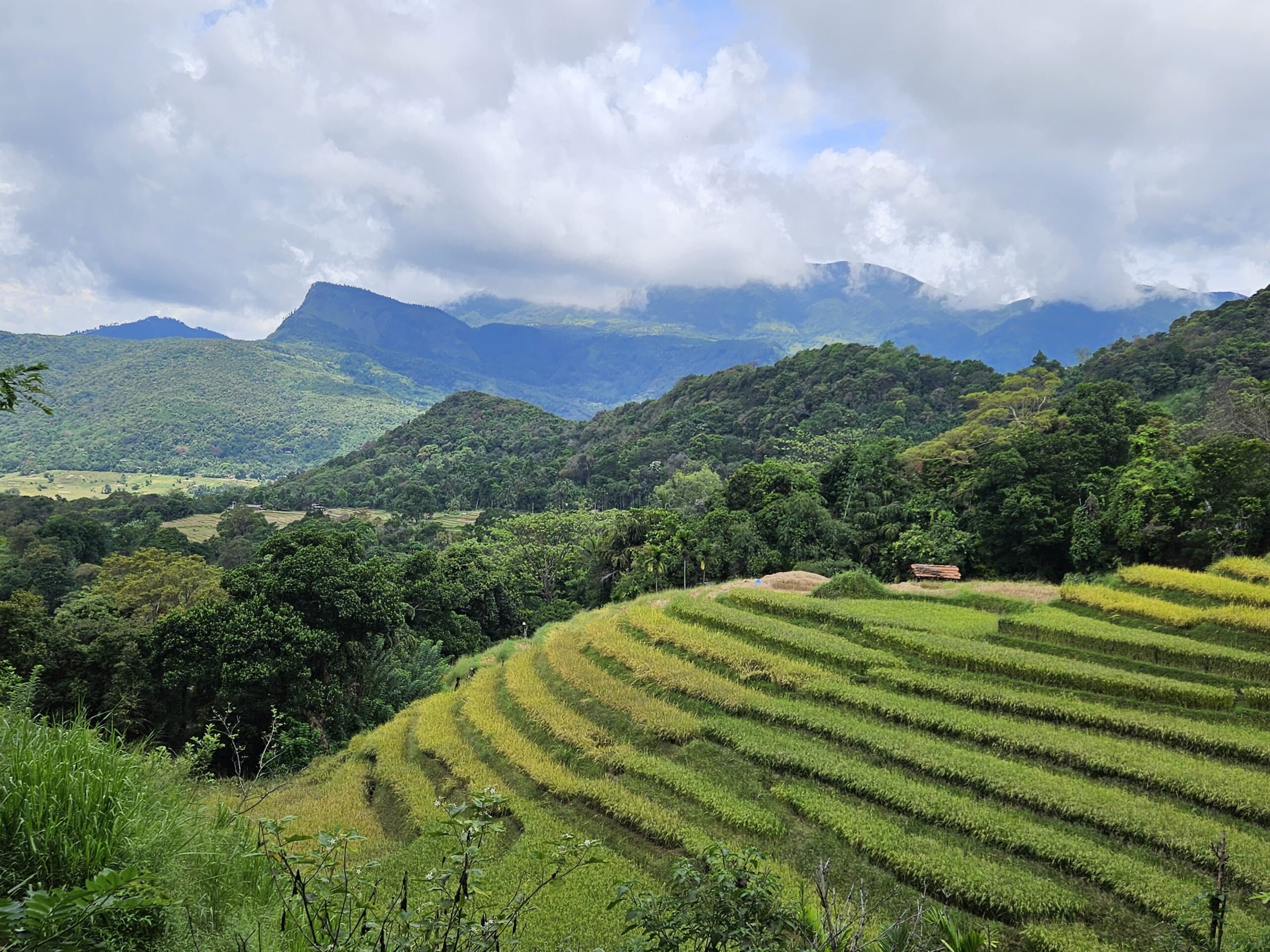 Systematic soil and land health assessment to climate-proof Sri Lanka’s ecosystems