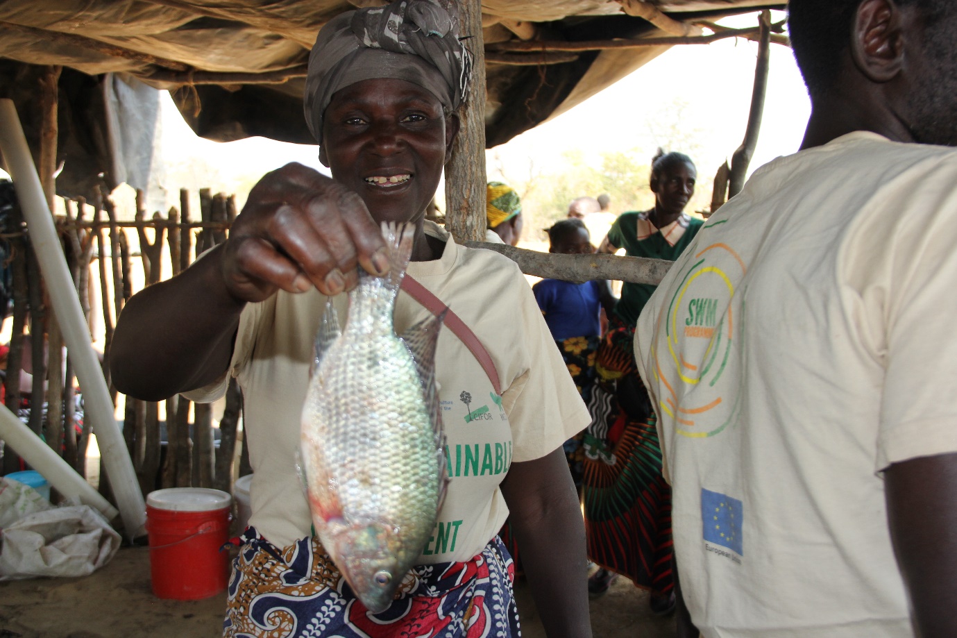 Sustainable wildlife: Championing gender equality through fish farming