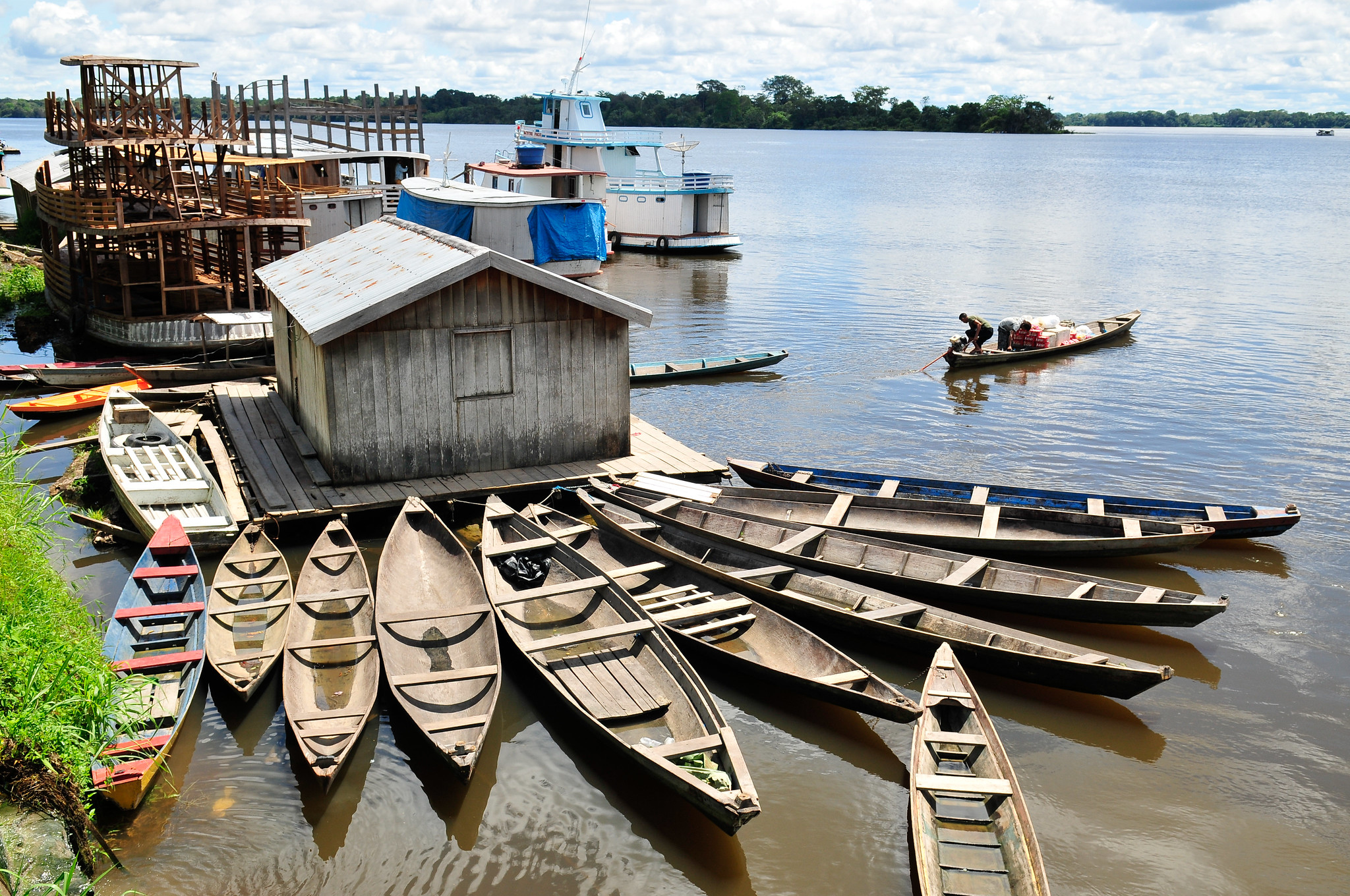 Soluciones basadas en los árboles en contextos vulnerables: algunas reflexiones
