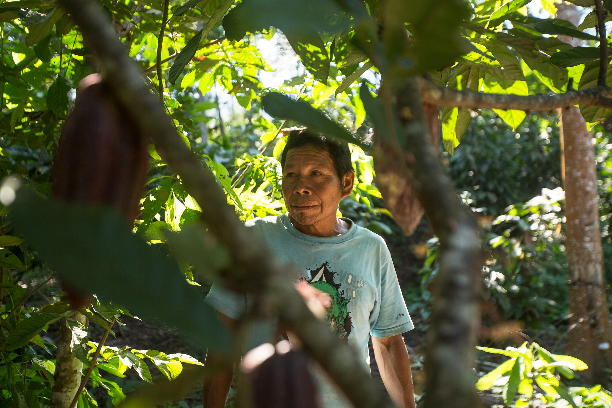 Desarrollar herramientas digitales centradas en el agricultor para escalar la agroecología