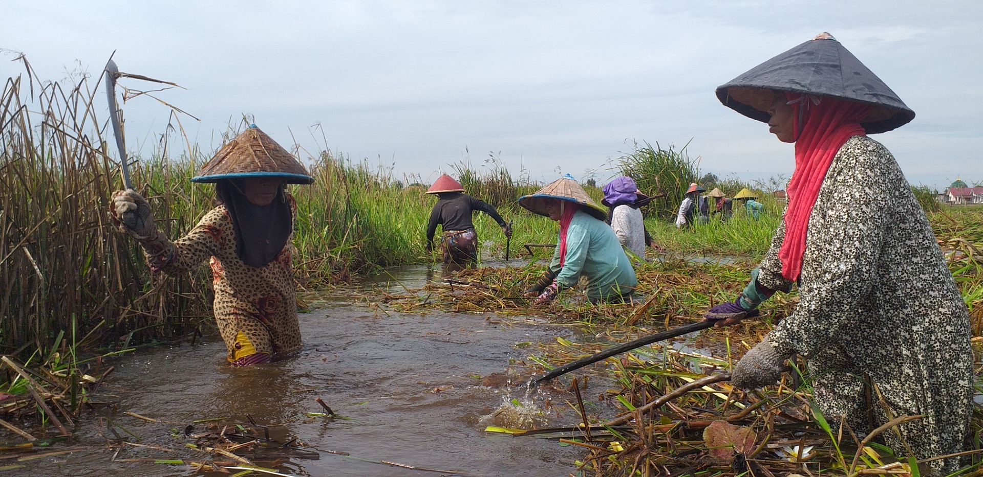 Edukasi generasi muda untuk masa depan lahan gambut Indonesia