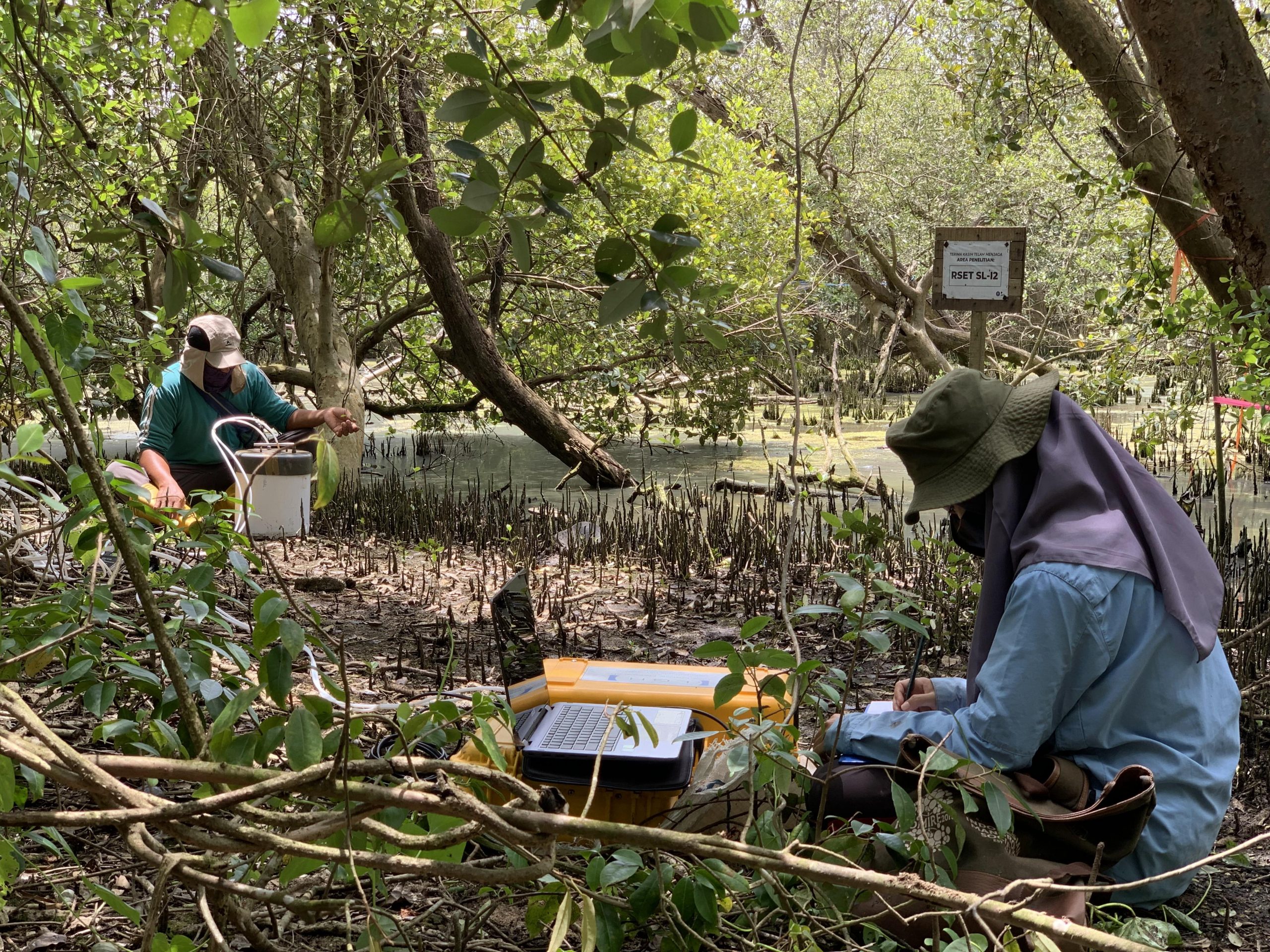 Terobosan penting untuk aksi iklim: Dokumen manual mangrove Indonesia menetapkan standar global