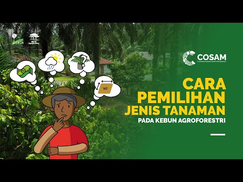 Pemilihan Jenis Tanaman pada Kebun Agroforestri