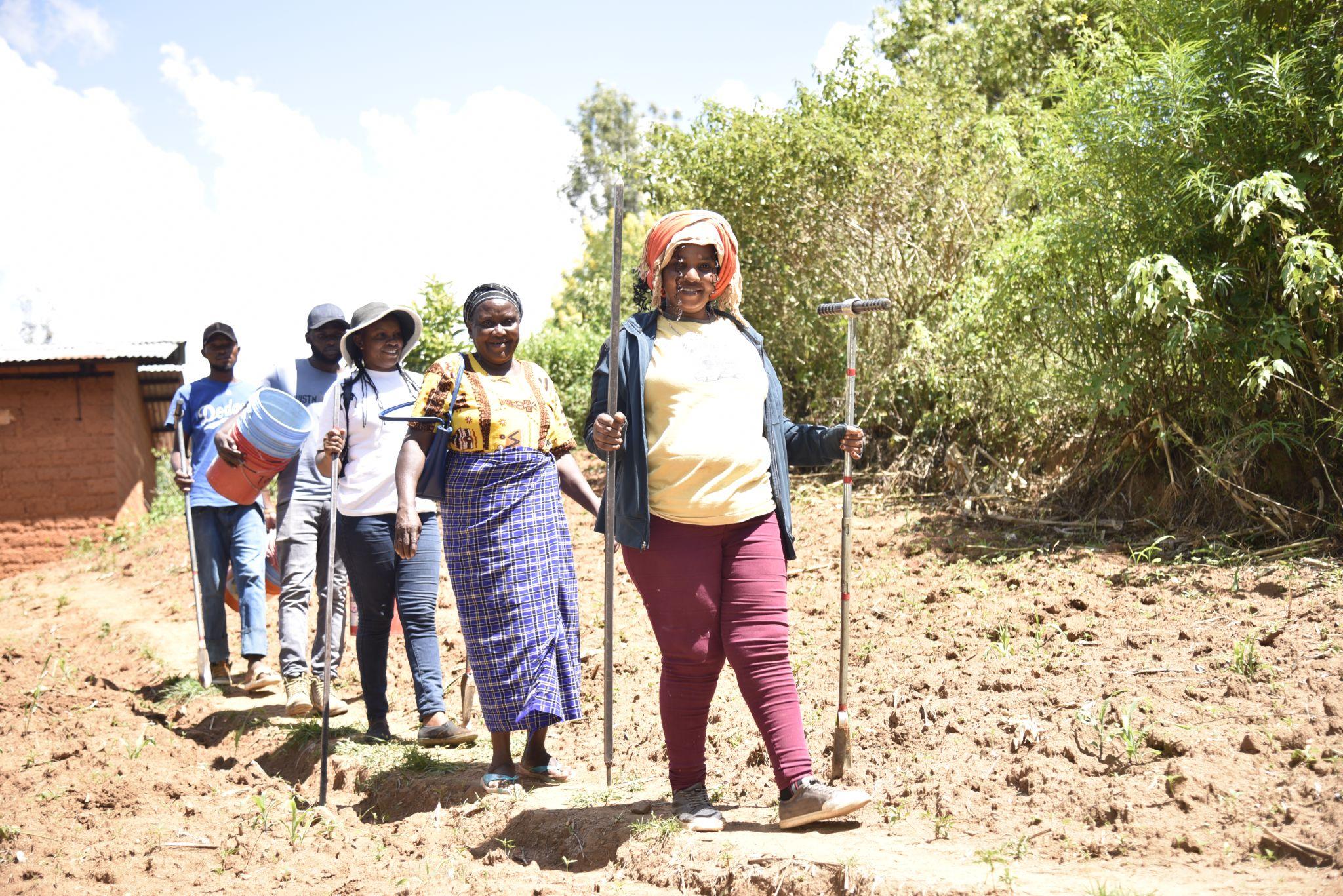 Crafting a greener future: Developing a sustainable forest and landscape restoration plan