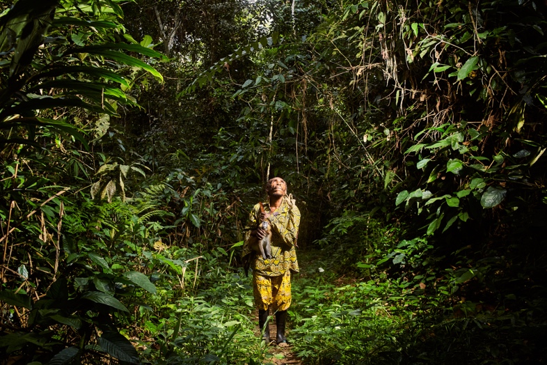 Mapping the wild meat trade in Cameroon: A shared tool for smarter, fairer management