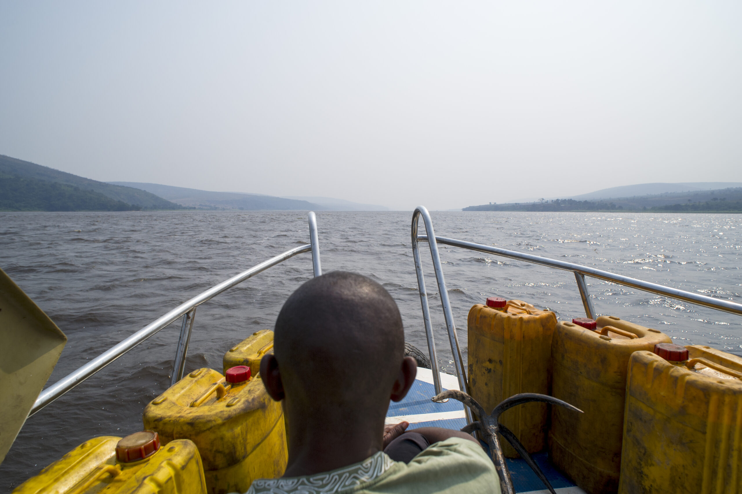 Against all odds: Fragile plant specimens arrive safely and thrive in forest station