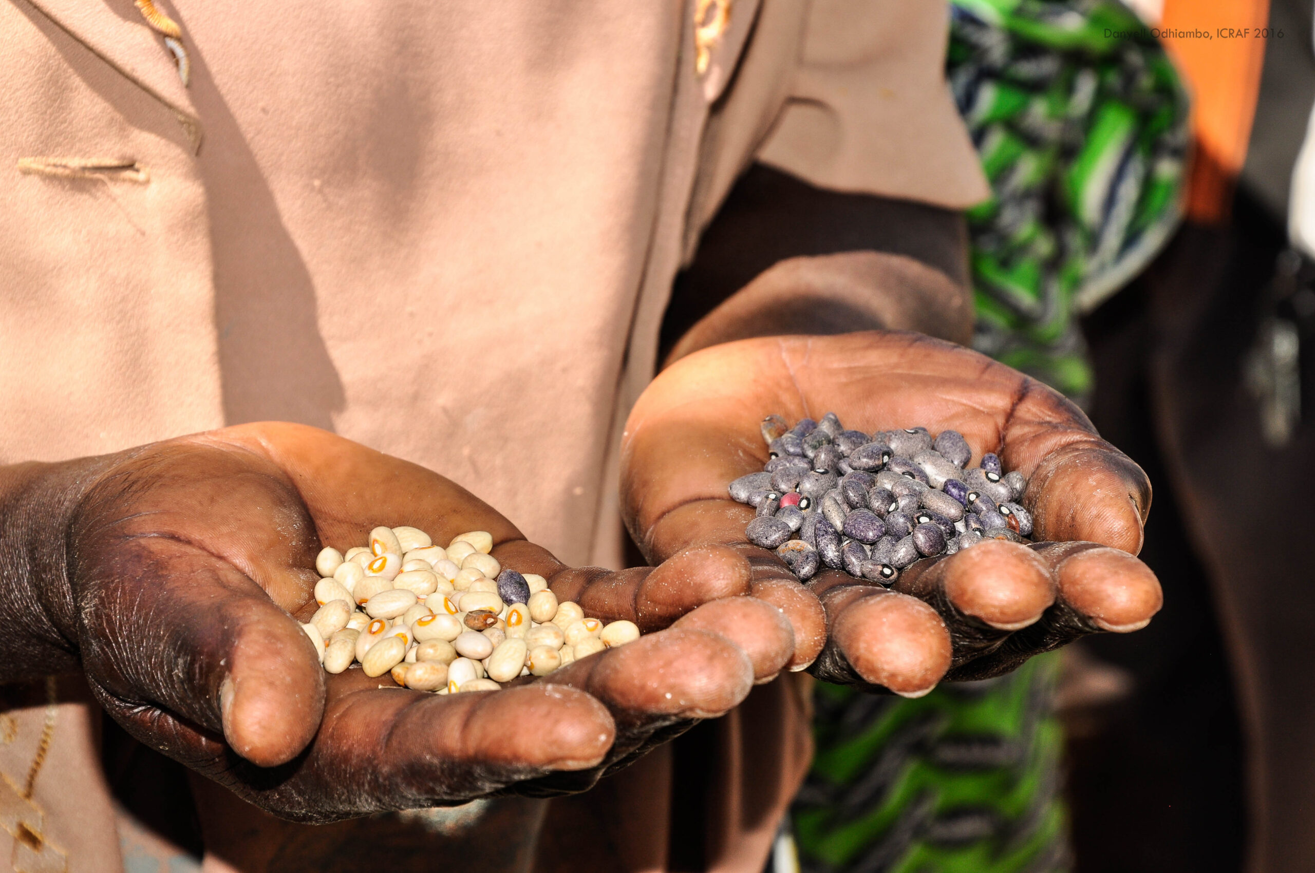 Urgensi pelestarian spesies pohon asli