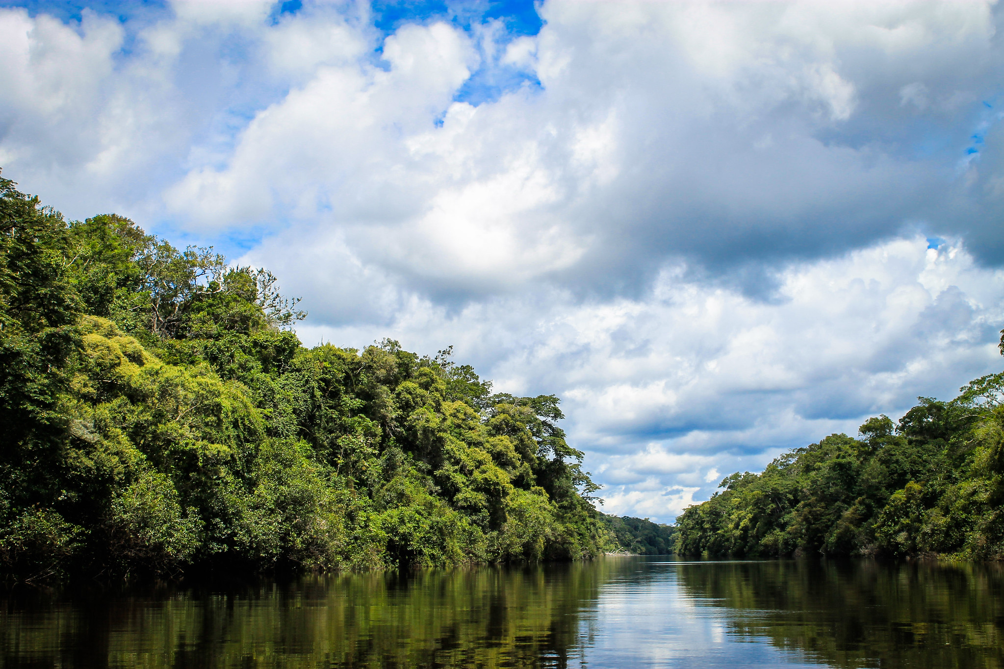 É hora de dar às Áreas Úmidas a importância que merecem