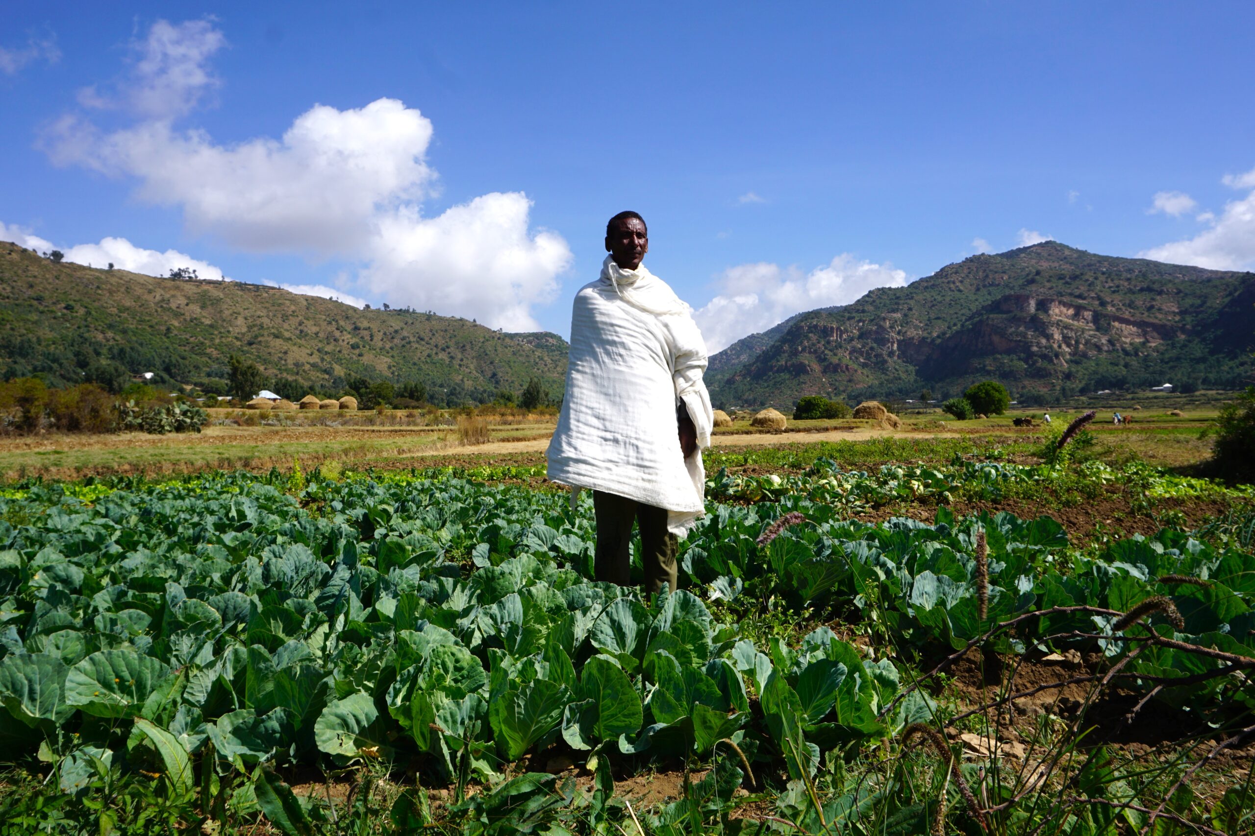 An effective and impactful project: Restoring livelihoods in war-torn Tigray