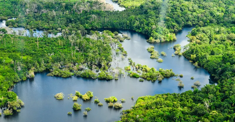 Un nouvel outil permet aux planificateurs forestiers du Brésil d’anticiper l’avenir