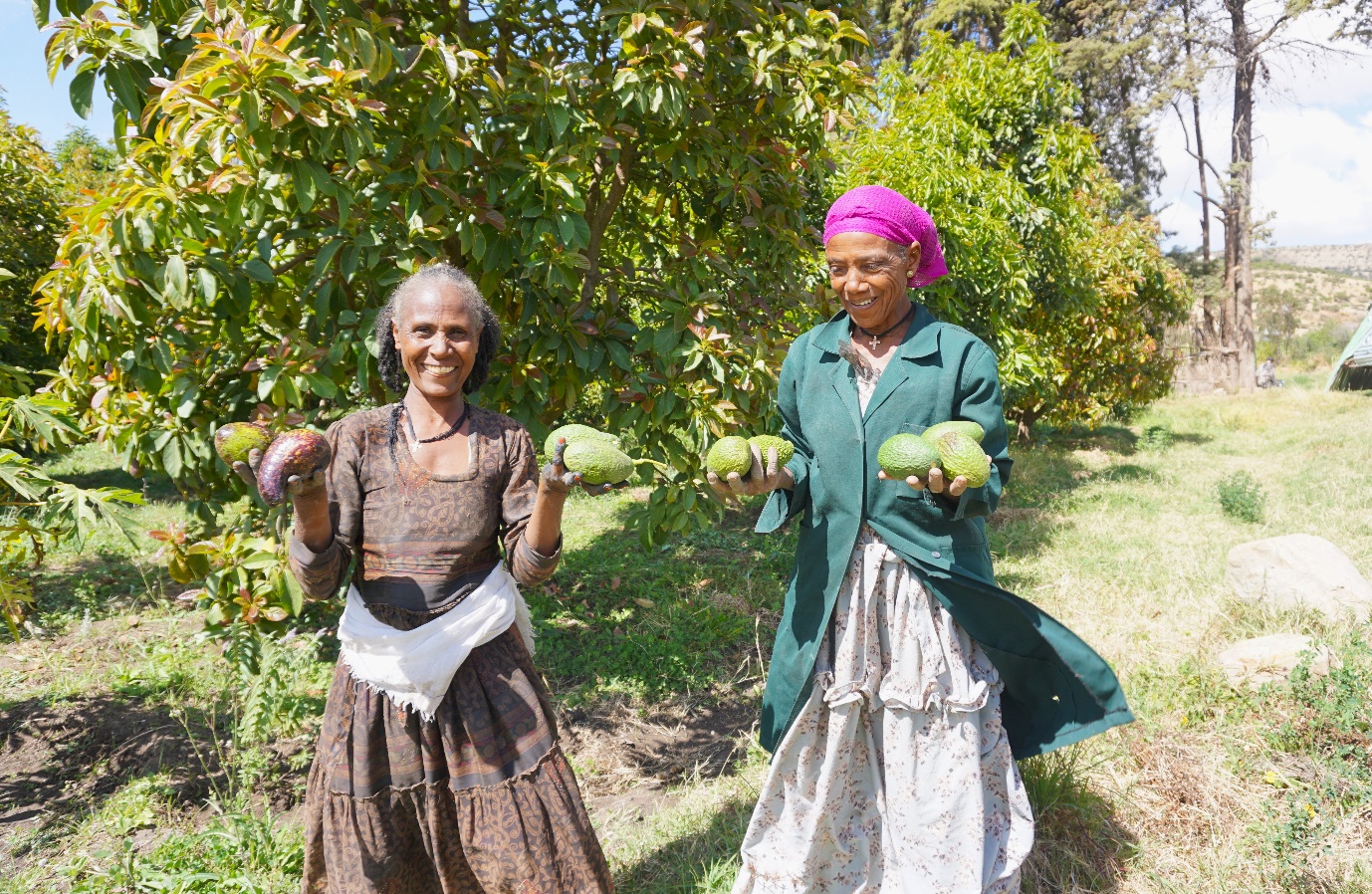 Bringing hope to farmers