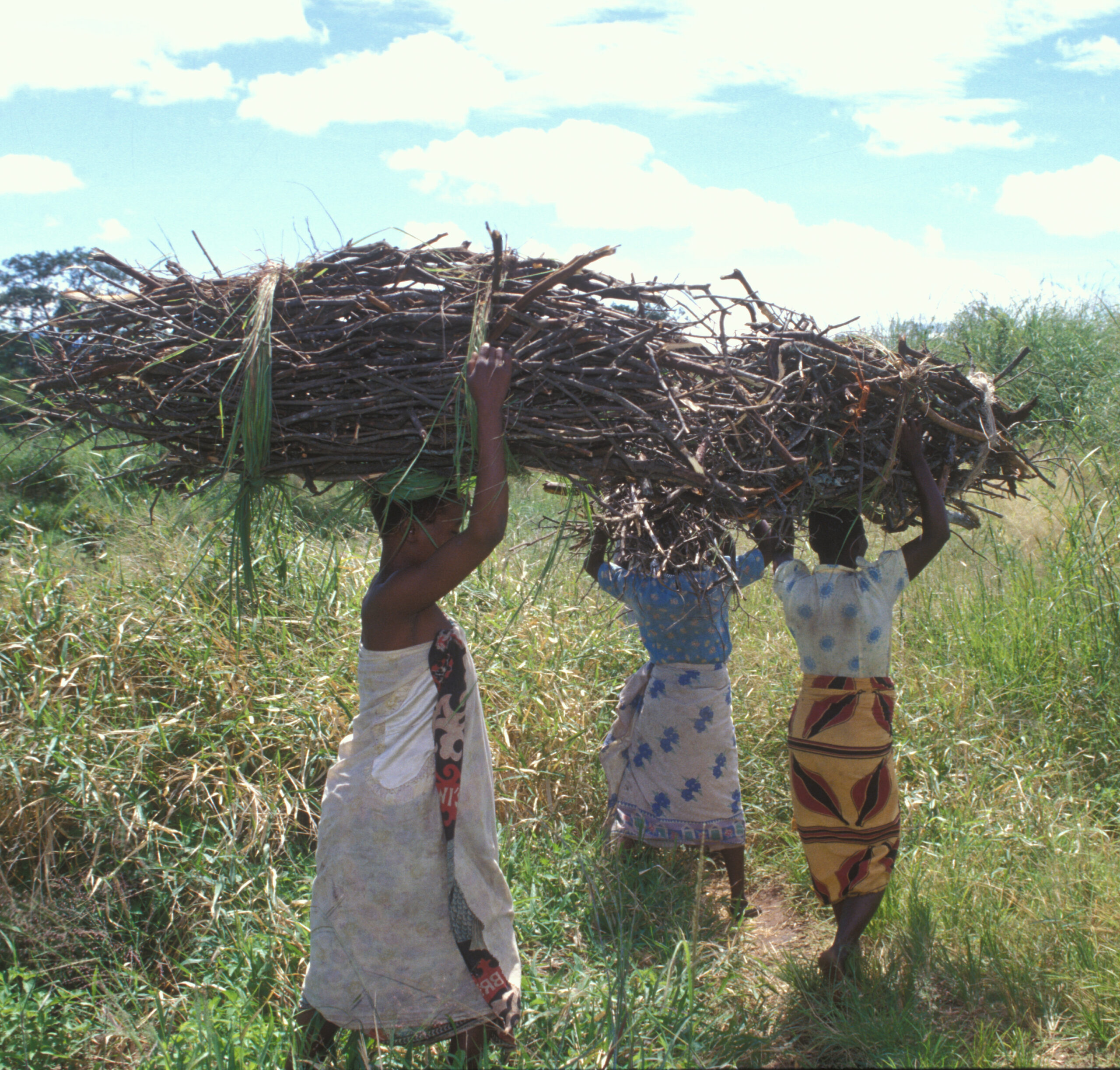 How to improve conservation policies? Just ask local communities, scientists say