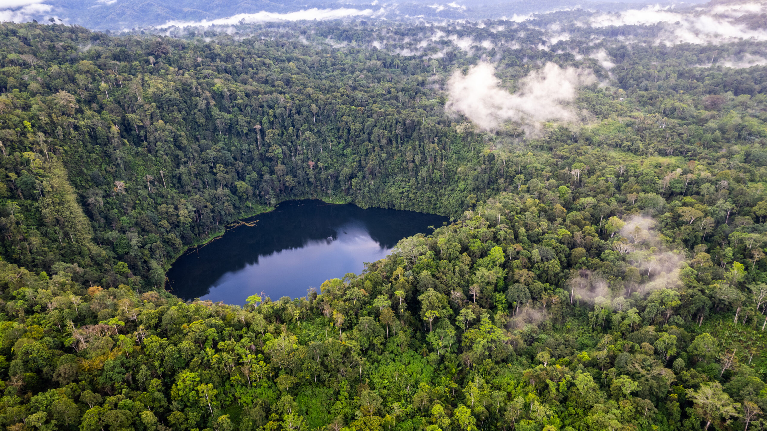 Making Managalas: Consensus for conservation on PNG’s Managalas Plateau