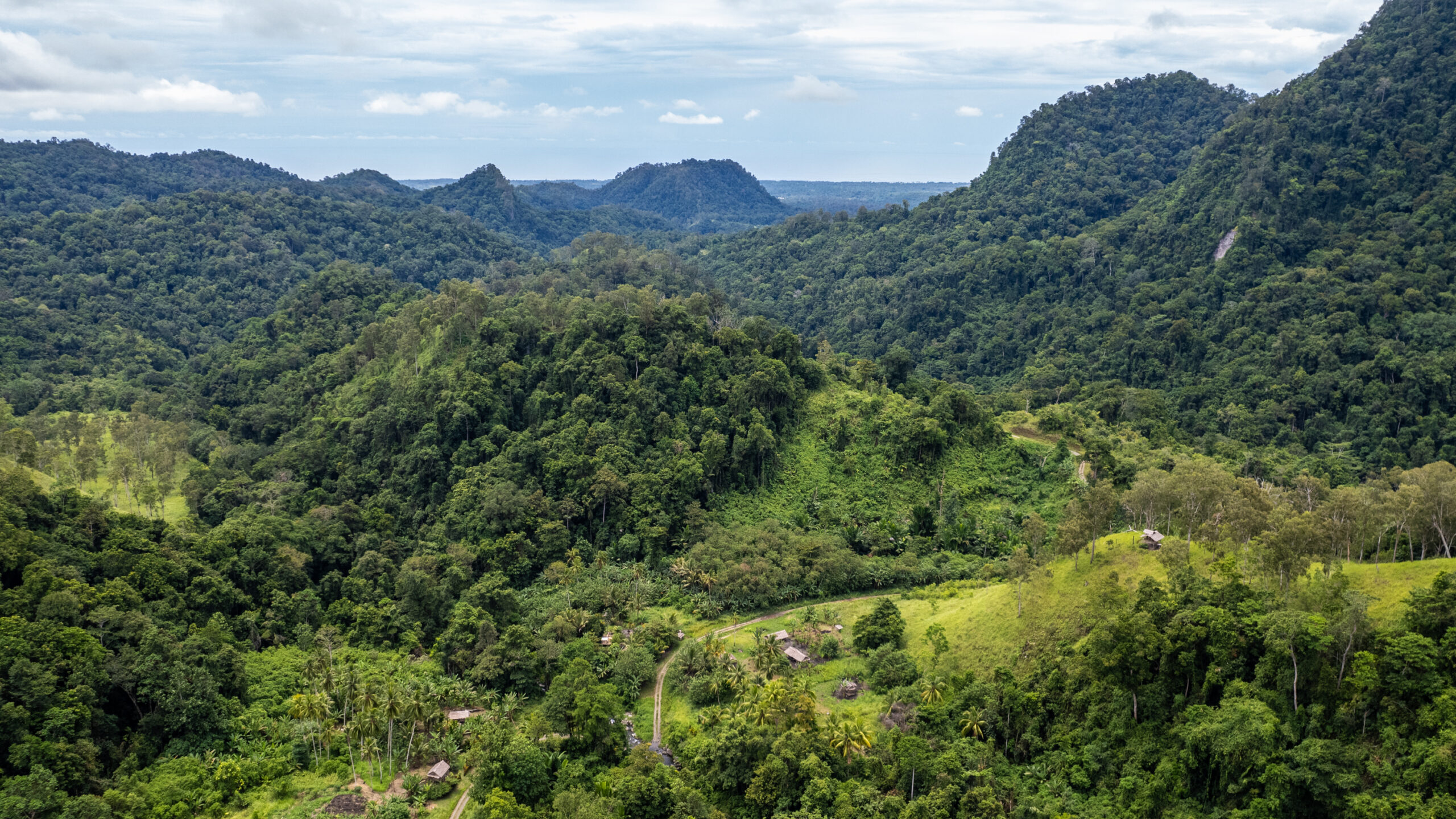 When ‘the field’ is a forest: Nuances of data-gathering on Managalas Plateau