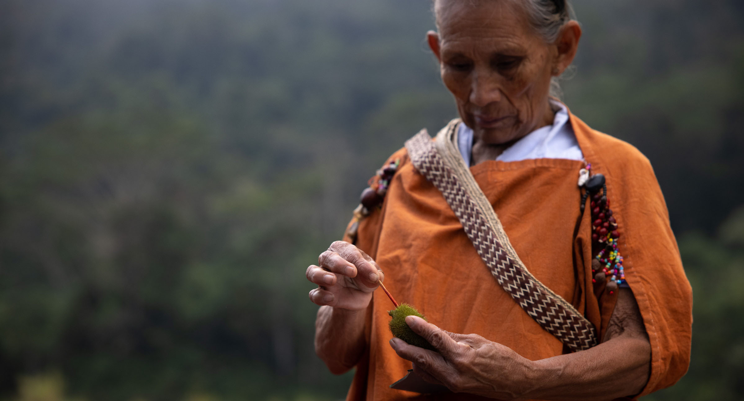 Conservation dialogues advance rights-based approaches in the Amazon