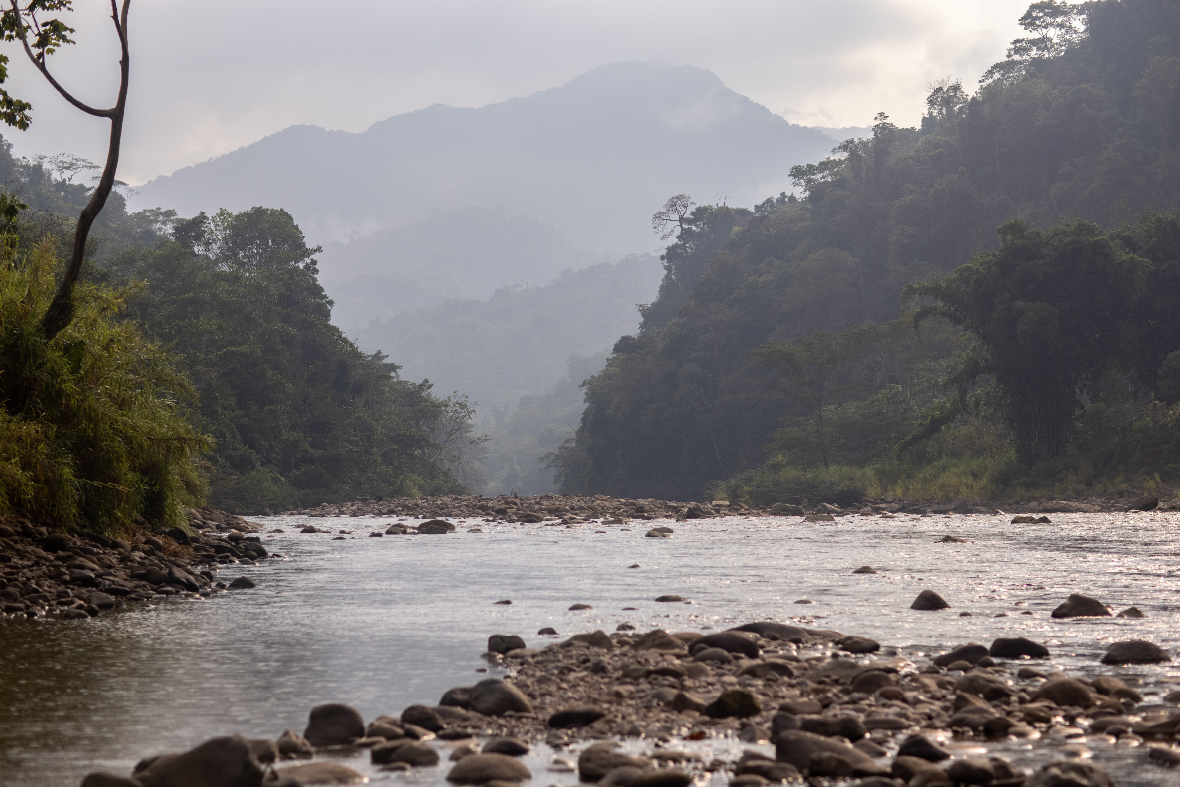 Perú: Codiseñando herramientas para una conservación inclusiva y colaborativa