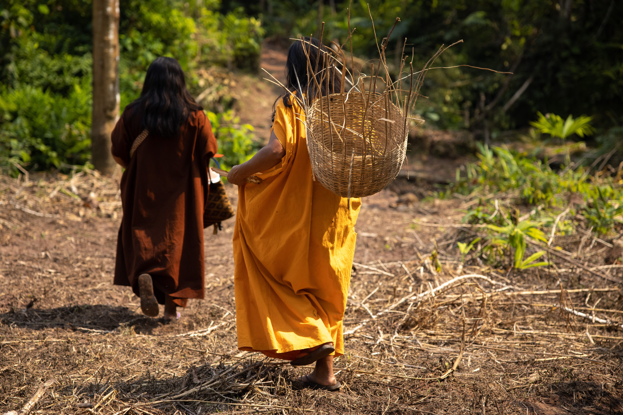 Salvaguardas REDD+ en Perú: ¿Cómo pueden contribuir a mejorar los derechos de las comunidades?