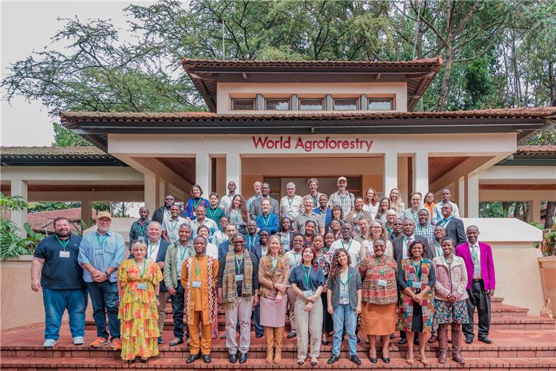 Planting change: How AfroGrow is rethinking agroforestry in Africa