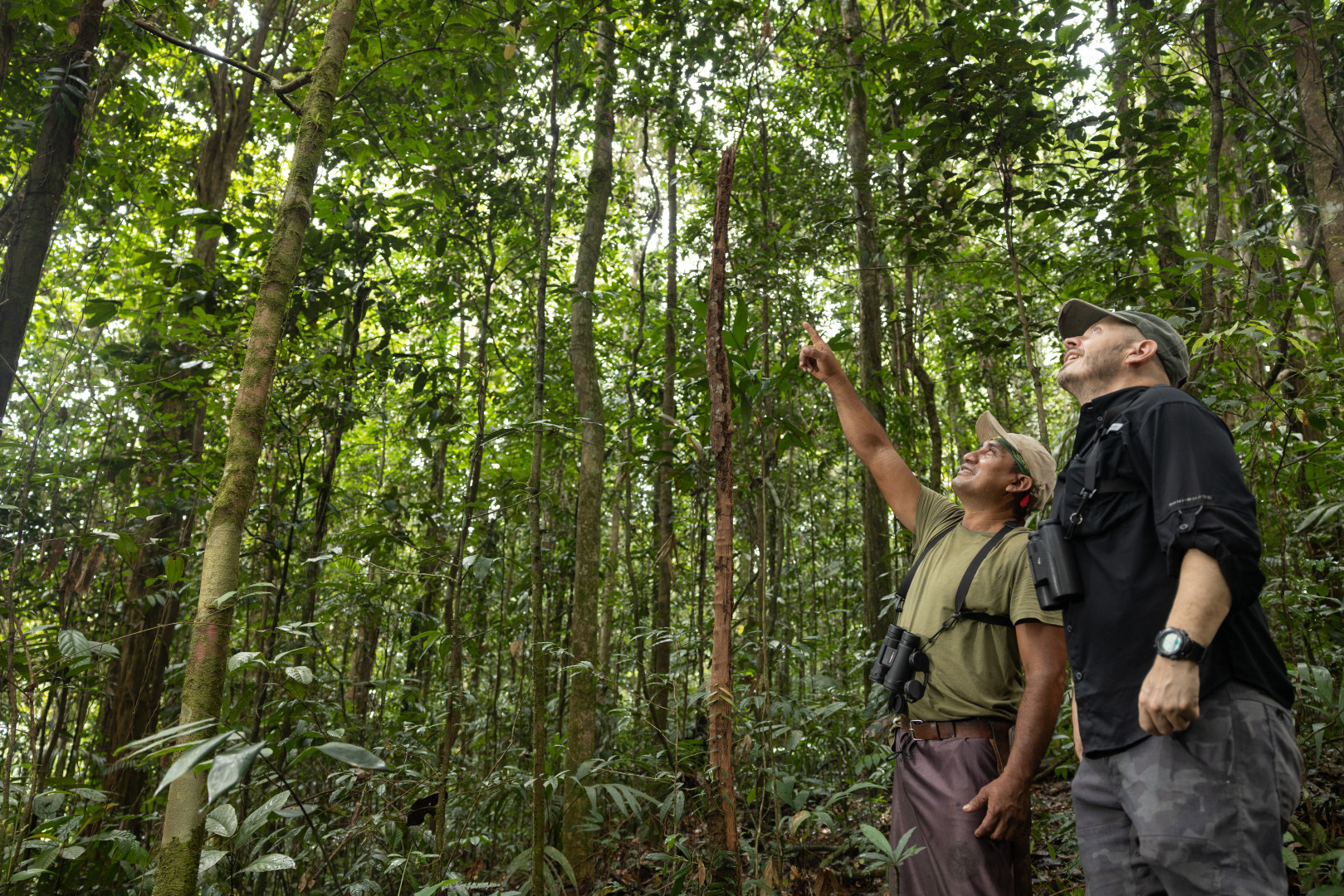 Cinco acciones urgentes para proteger los bosques del mundo en la próxima década