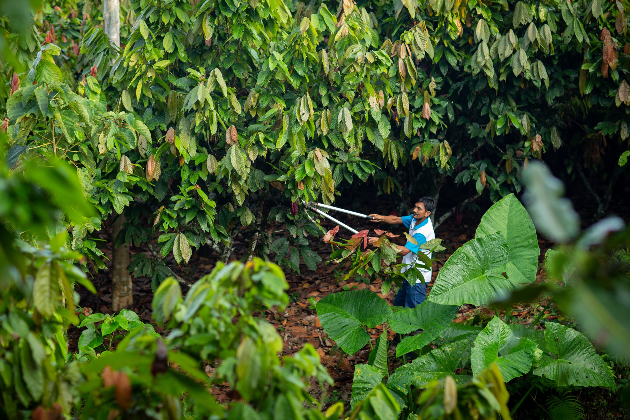 Protected: Sample Post