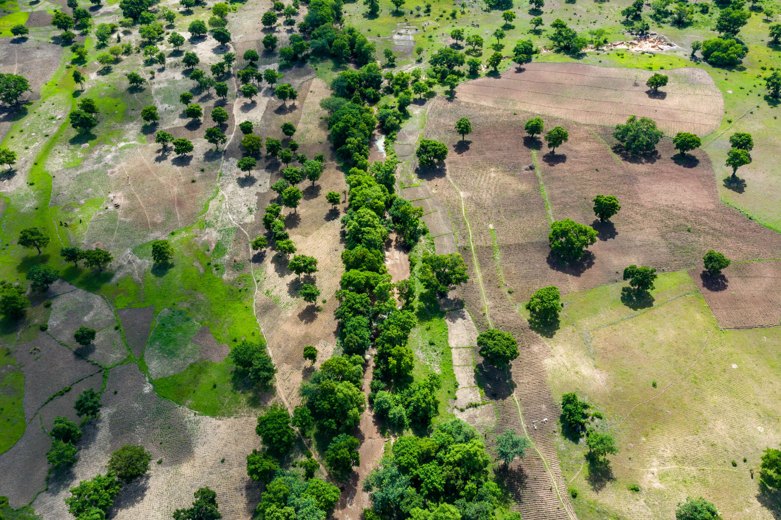 Digging deeper: How soil spectroscopy is revolutionizing agriculture in The Gambia