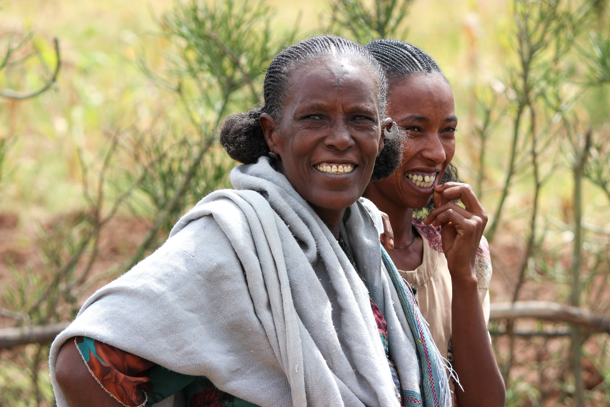 Prioritizing options for women’s empowerment and resilience in Malawi’s food tree value chains