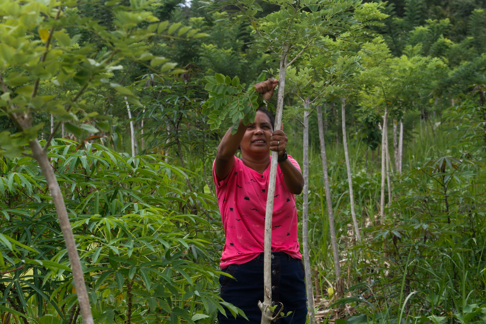 El papel transformador de las microempresas colectivas de mujeres en la Amazonía brasileña