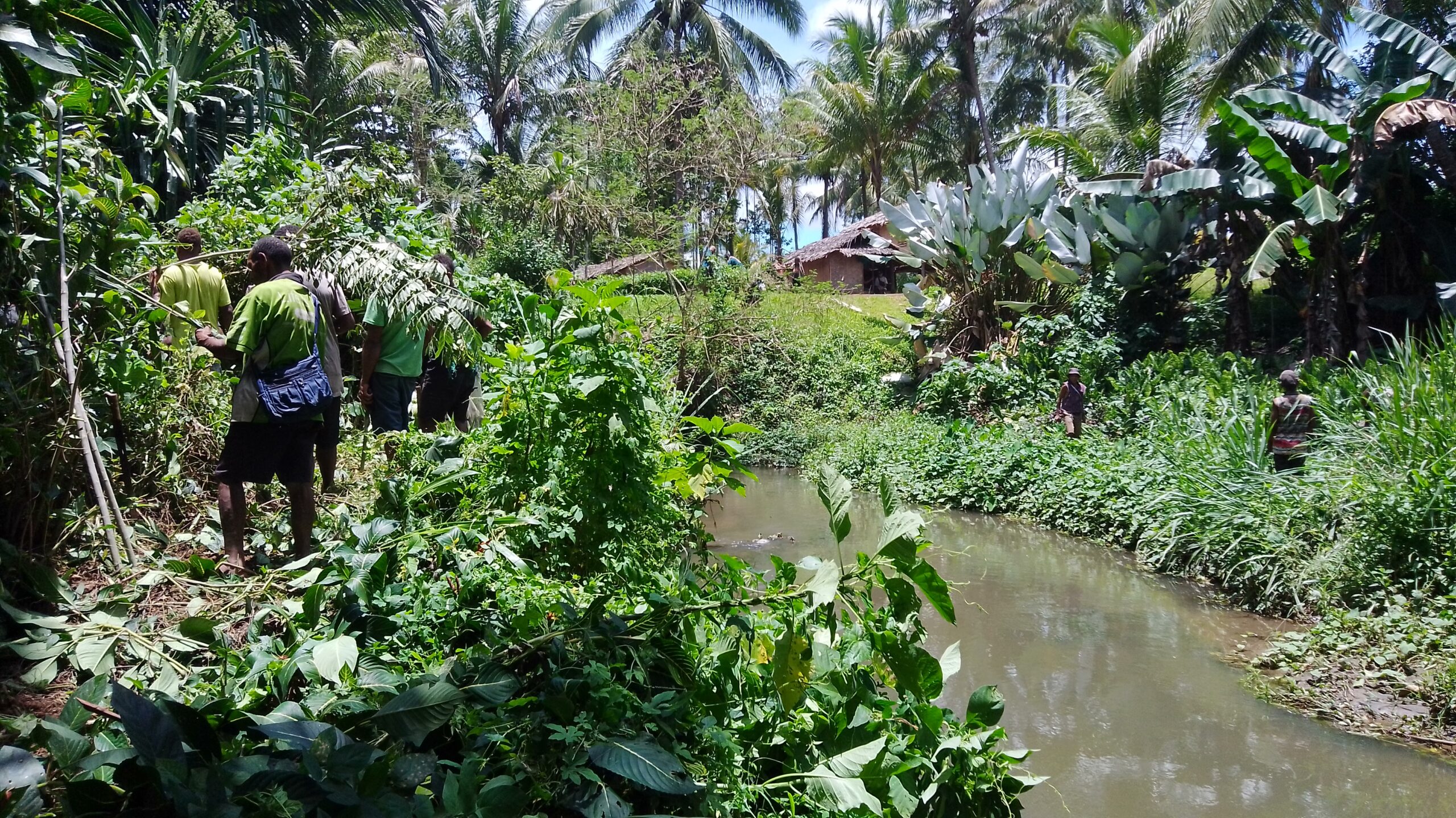 Fire ants and floating flowers: Managing invasives in Managalas