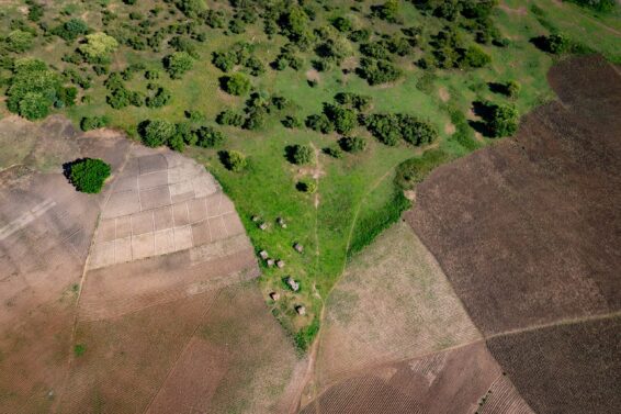 Aerial photo of African farmland and vegetation, showing the intersection of agriculture, natural ecosystems, and local efforts for Africa climate resilience.