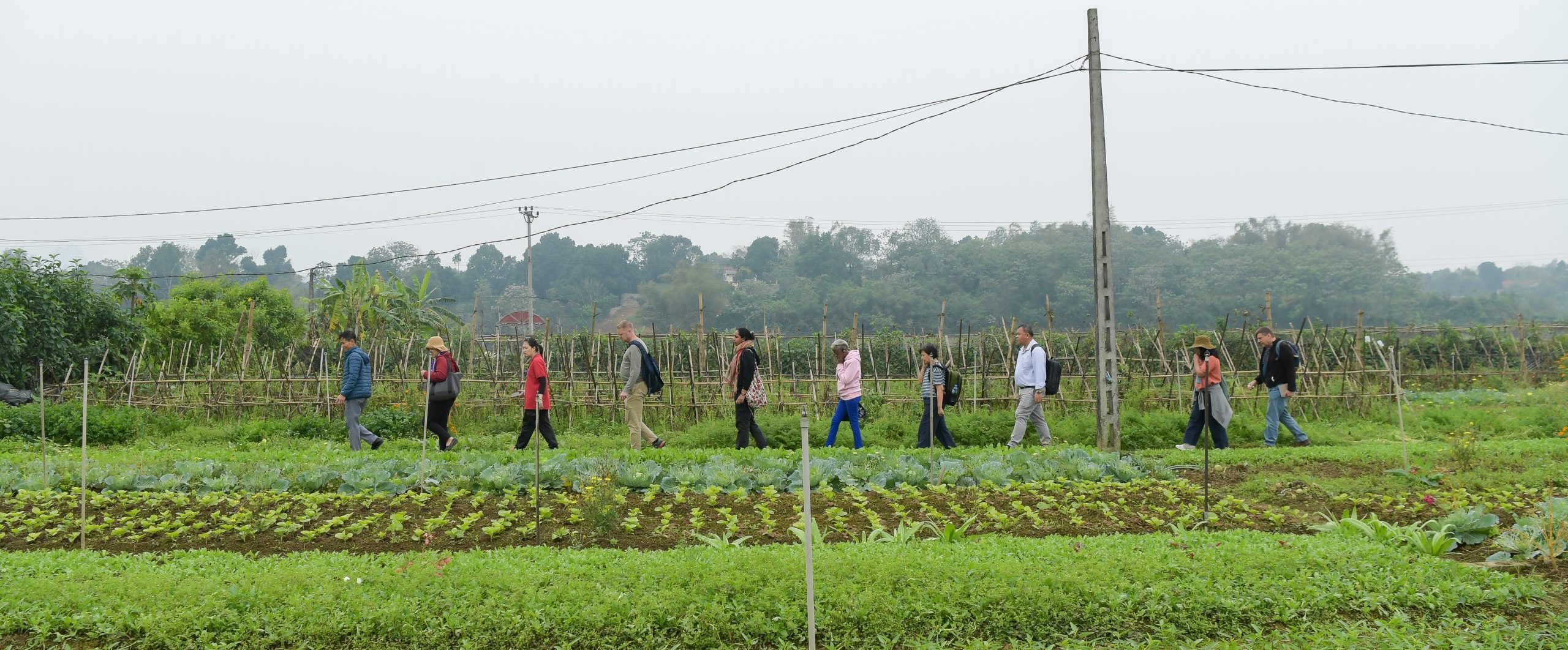 “We’re here to make things happen”: Agroecology leaders gather in Vietnam