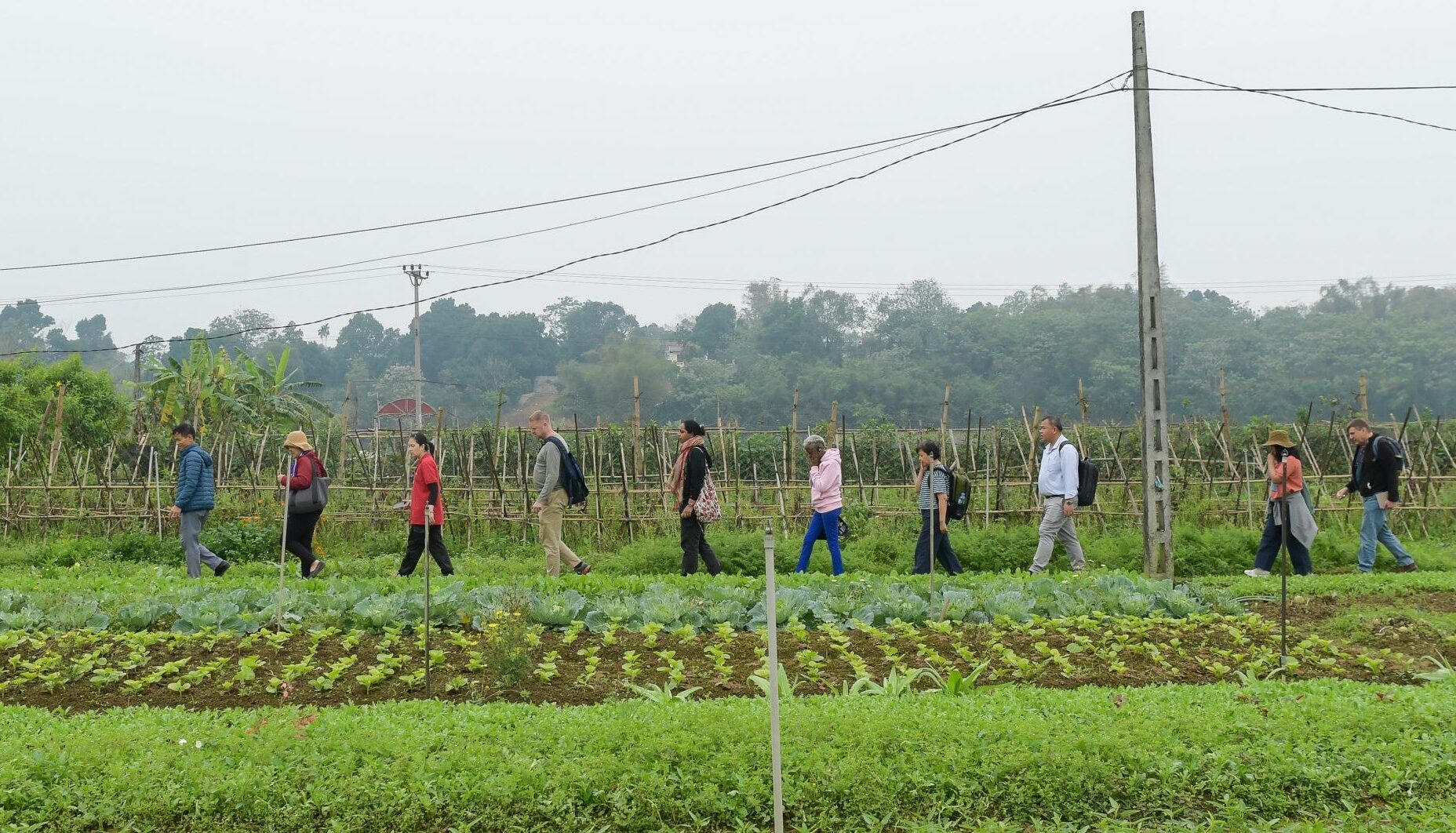 “We’re here to make things happen”: Agroecology leaders gather in Vietnam