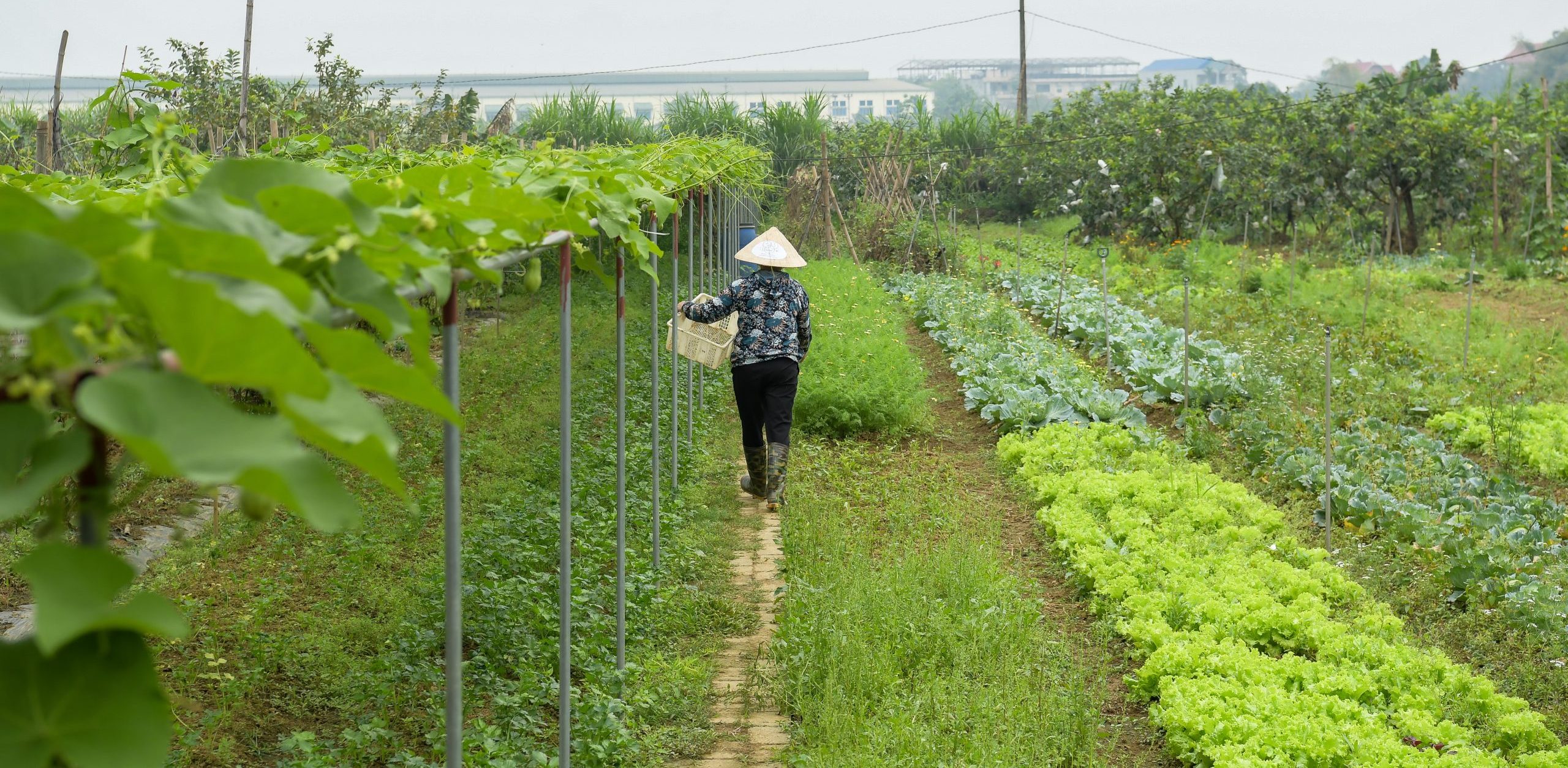 The serious game of agroecological transition