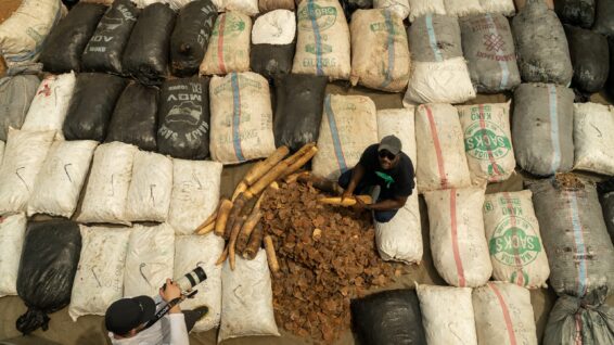 Aerial view of Charles Emogor holding an elephant tusk beside a pile of pangolin scales confiscated by the Nigeria Customs Service, illustrating wildlife conservation challenges in Nigeria.