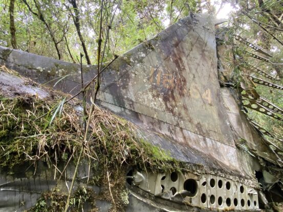 Moss and lichen on the tail of the WWII Flying Dutchman wreck in Papua New Guinea’s Mount Obree cloud forest, yellow serial number 18564 still visible.