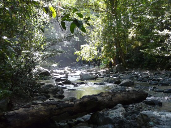 Hikers with backpacks walking along a rocky riverbed surrounded by dense tropical forest, sunlight filtering through the canopy on the Ghost Mountain Trail in Papua New Guinea.