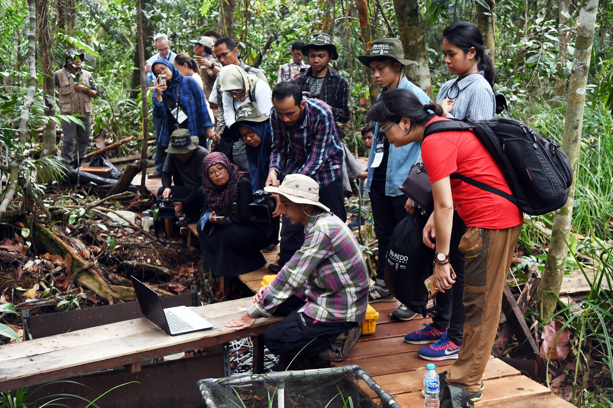 Inovasi Canggih, Kelestarian Hutan Terjaga