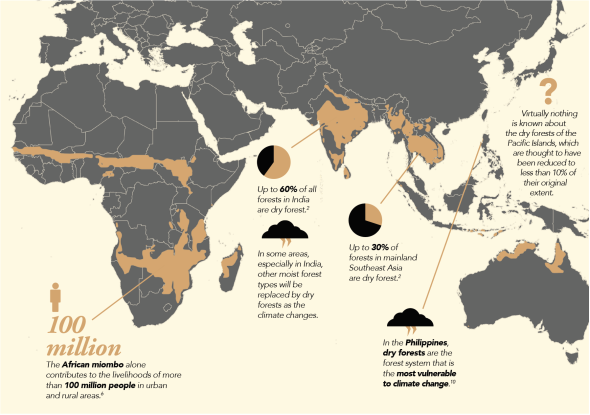 Map and illustration explaining tropical dry forests. Definition: tropical climate with 500–1500 mm annual rainfall, dry season of 5–8 months, open canopies, habitat for species like giraffes and Komodo dragons. Map shows distribution in Latin America, Africa and Asia. Notes include: Caribbean dry forests are under-researched; two-thirds of dry forests in the Americas have been converted, with rates as high as 95% in some countries.