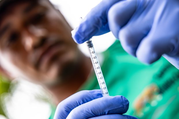 A person wearing gloves holds a syringe while preparing an eDNA sample for biodiversity monitoring in Sawariwau Village, Guyana.