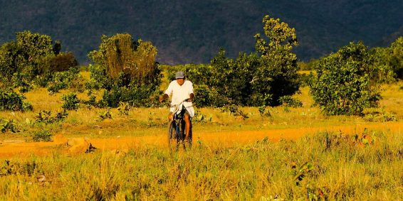 A man cycles along a dirt road through the Rupununi savannahs with green hills rising in the background under a soft afternoon light.