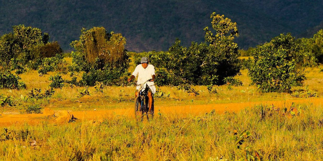 Keeping track of nature in a fast-growing nation