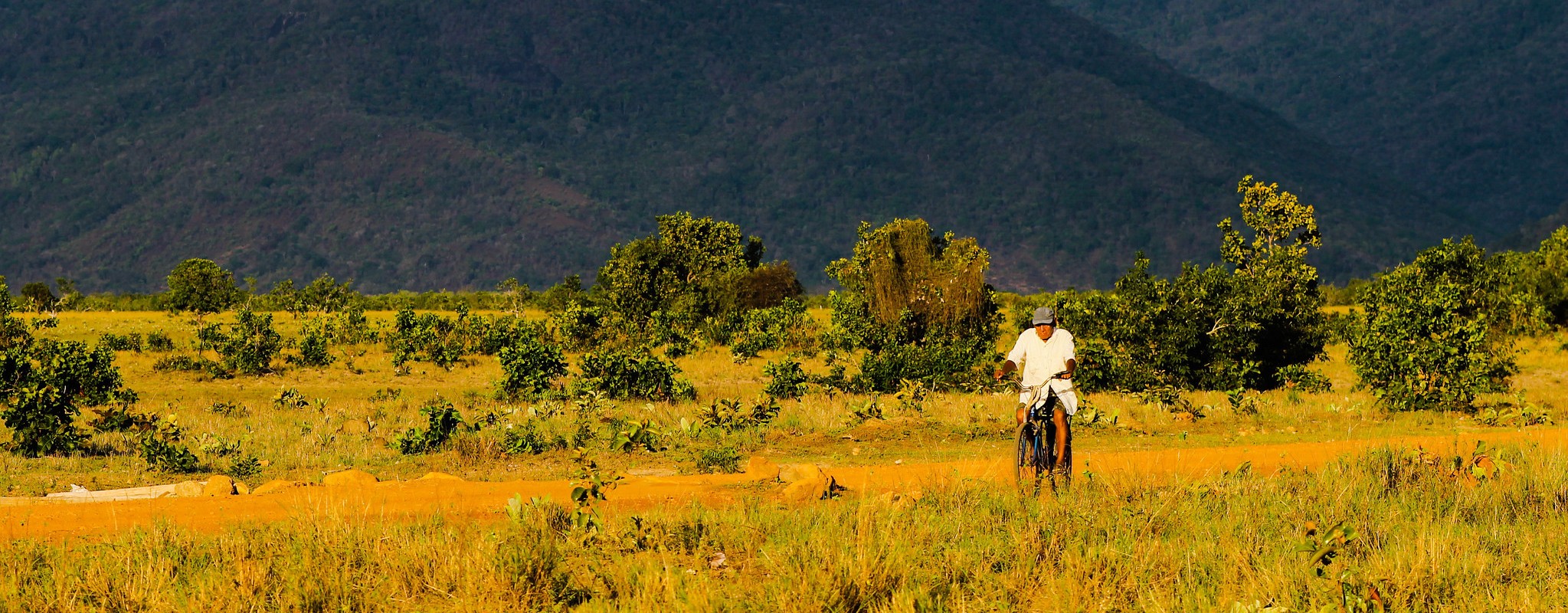 Guyana impulsa el primer sistema nacional de monitoreo de biodiversidad del mundo
