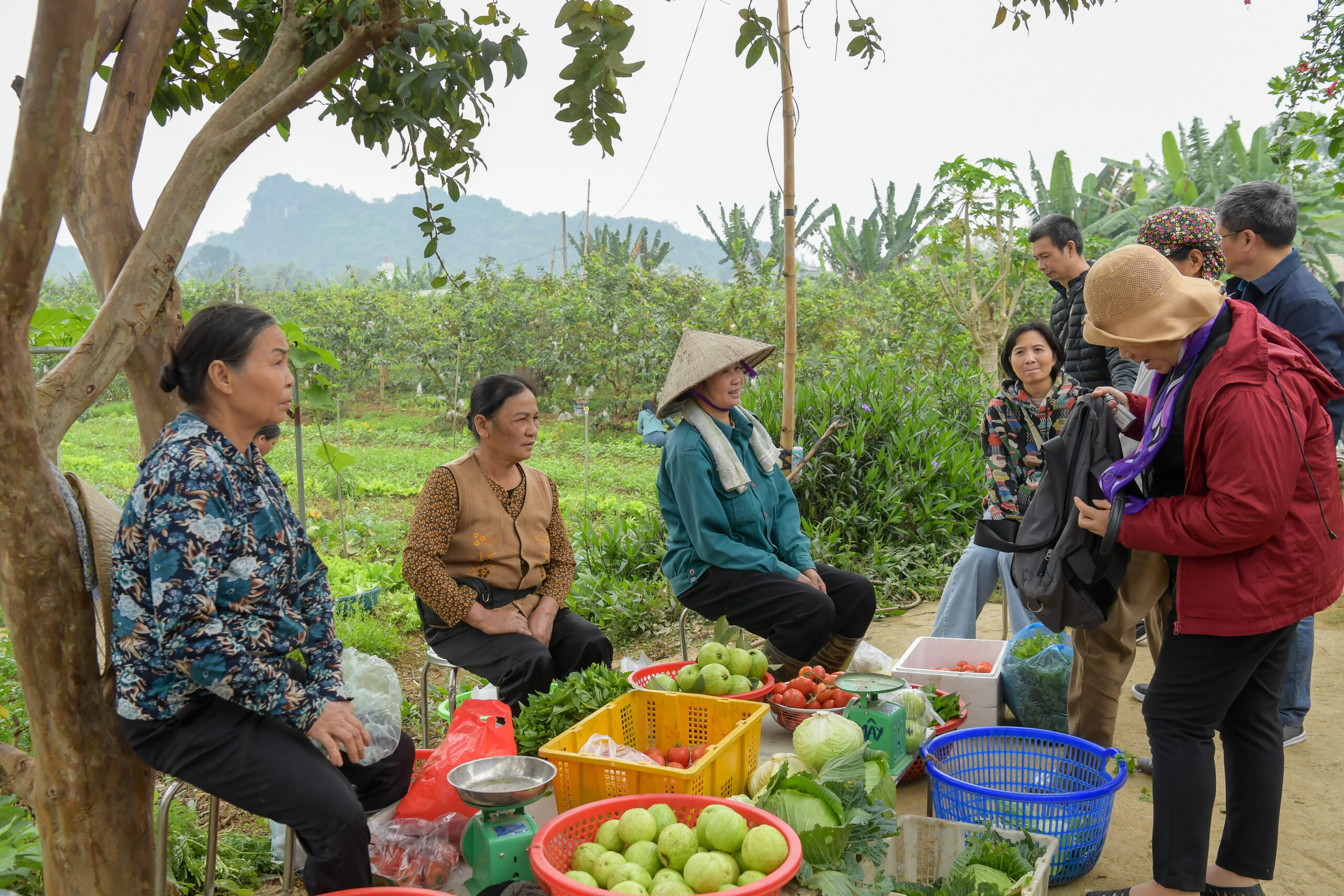 What does co-creation *really* mean for agroecological transitions?