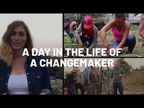 Voices of the Landscape: Part 2 – GLF Investment Case