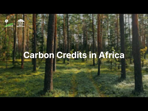 Carbon Credits in Africa