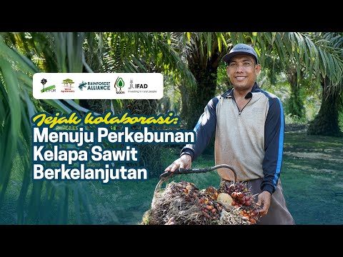 Jejak Kolaborasi Menuju Perkebunan Kelapa Sawit Berkelanjutan