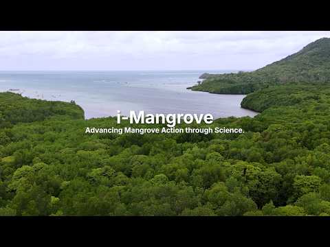 i-Mangrove Blue Carbon Dashboard